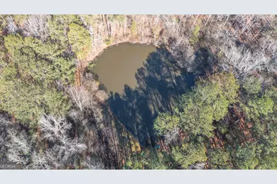 0 River Road, Warm Springs, GA 31830 - Photo 12