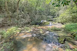 3622 Sandy Ford Rd, Clayton, GA 30525 - Photo 178