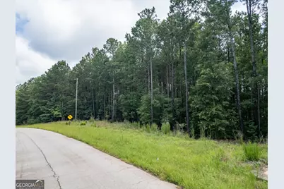 171 Preservation Drive, Jackson, GA 30233 - Photo 4