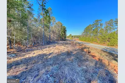 0 Salem Lot 2 Road #LOT 2, Pine Mountain, GA 31822 - Photo 8
