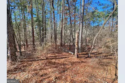 0 Salem Lot 1 Road #LOT 1, Pine Mountain, GA 31822 - Photo 2