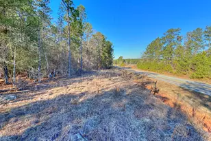 0 Salem Rd Lot 1, Pine Mountain, GA 31822 - Photo 1