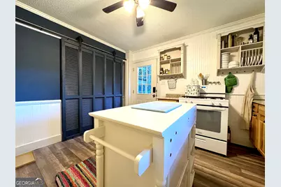 117 Humphrey Lane, Clayton, GA 30525 - Photo 12