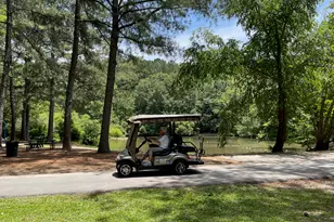 103 Burnham Rise, Peachtree City, GA 30269 - Photo 36