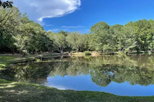 103 Burnham Rise, Peachtree City, GA 30269 - Photo 34