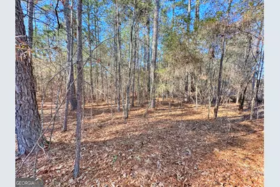 0 Salem Lot 3 Road #LOT 3, Pine Mountain, GA 31822 - Photo 6