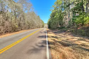 0 Salem Rd Lot 3, Pine Mountain, GA 31822 - Photo 1