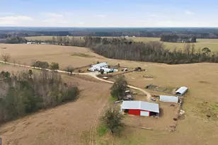 2368 Ogeechee Rd, Sylvania, GA 30467 - Photo 14