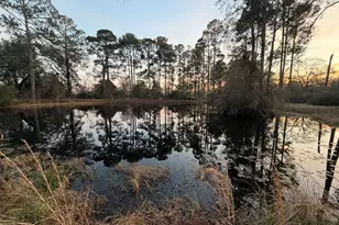 251 Dewey McGlamry Rd, Fitzgerald, GA 31750 - Photo 14