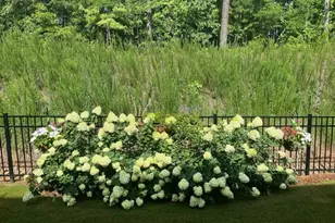 20058 Windalier Wy, Roswell, GA 30076 - Photo 42