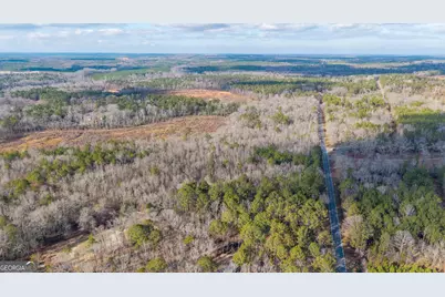 1761 E H Snow Road, Mcintyre, GA 31054 - Photo 6