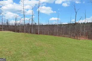 2278 Tower Rd, Martin, GA 30557 - Photo 38