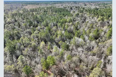 0 Rentz Road, Dublin, GA 31021 - Photo 8
