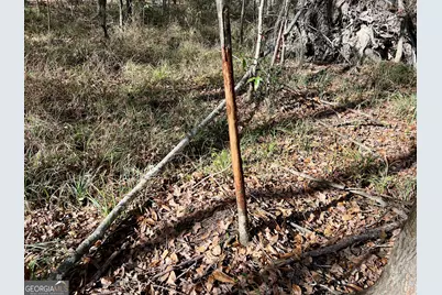 0 Rentz Road, Dublin, GA 31021 - Photo 42