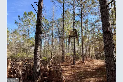 0 Rentz Road, Dublin, GA 31021 - Photo 26