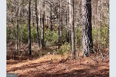 0 Rentz Road, Dublin, GA 31021 - Photo 28