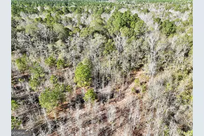 0 Rentz Road, Dublin, GA 31021 - Photo 22