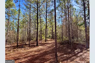 0 Rentz Road, Dublin, GA 31021 - Photo 30