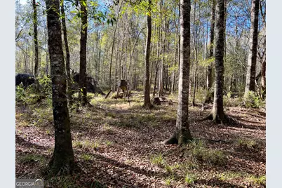 0 Rentz Road, Dublin, GA 31021 - Photo 4
