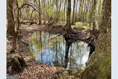 0 Rentz Road, Dublin, GA 31021 - Photo 2