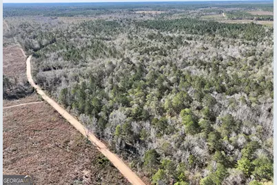 0 Rentz Road, Dublin, GA 31021 - Photo 6