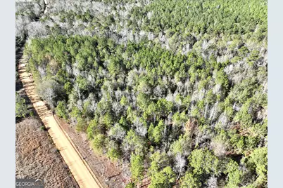 0 Rentz Road, Dublin, GA 31021 - Photo 16