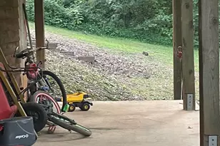 1307 Creasy Patch Rd, Cornelia, GA 30531 - Photo 30