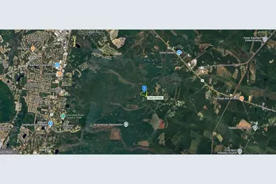 423 Tobe Lambert Road, Midway, GA 31320 - Photo 2