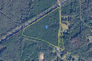 423 Tobe Lambert Rd, Midway, GA 31320 - Photo 1