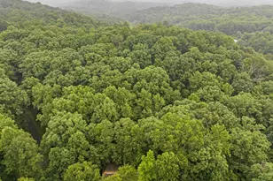 65 Dogwood Ln, Ellijay, GA 30540 - Photo 40