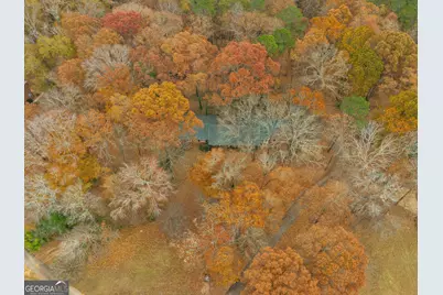 879 Rocky Creek Road, Hampton, GA 30228 - Photo 28