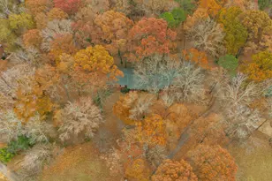 879 Rocky Creek Rd, Hampton, GA 30228 - Photo 28