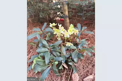 3030 Gadsden Street, Alpharetta, GA 30022 - Photo 30