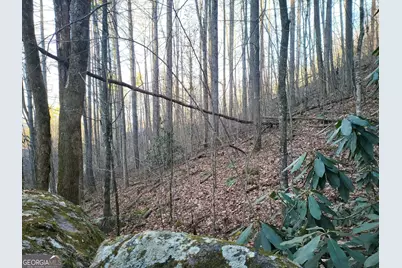 0 Lot 7C Hawkeye Trail, Rabun Gap, GA 30568 - Photo 2