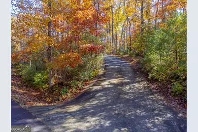 258 Turtle Cove, Clayton, GA 30525 - Photo 38