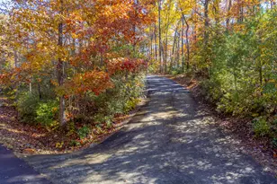 258 Turtle Cove, Clayton, GA 30525 - Photo 38