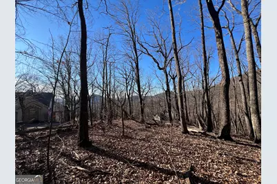 0 Sassafras Court #4546, Jasper, GA 30143 - Photo 6