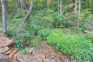 673 Autumn Ridge Dr, Clayton, GA 30525 - Photo 26