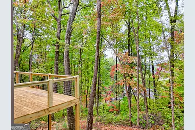 673 Autumn Ridge Drive, Clayton, GA 30525 - Photo 22