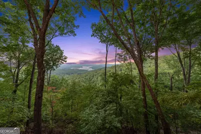 907 Ripshin Mountain Road, Blue Ridge, GA 30513 - Photo 54