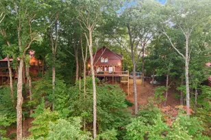 907 Ripshin Mountain Rd, Blue Ridge, GA 30513 - Photo 50