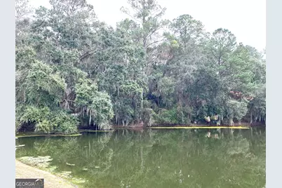 1 Old Cane Mill Drive, Darien, GA 33150 - Photo 10