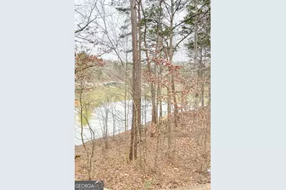 29 Cove Hbr, Lavonia, GA 30553 - Photo 52