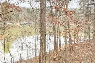 29 Cove Harbor, Lavonia, GA 30553 - Photo 52