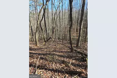 Lot 59 River Ridge Drive, Blue Ridge, GA 30513 - Photo 10