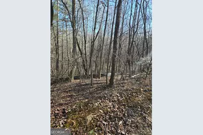 Lot 59 River Ridge Drive, Blue Ridge, GA 30513 - Photo 8