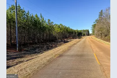 375 Bagley, Forsyth, GA 31029 - Photo 18