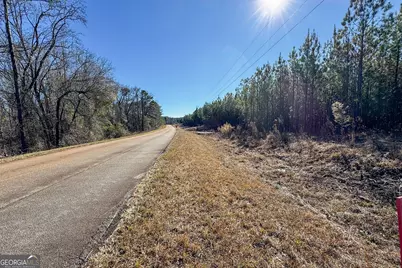 375 Bagley, Forsyth, GA 31029 - Photo 12