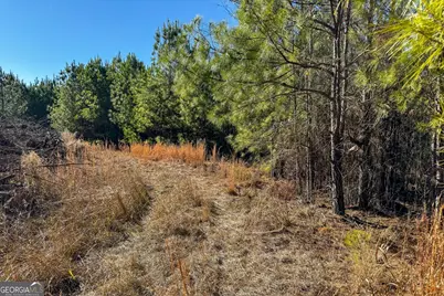 375 Bagley, Forsyth, GA 31029 - Photo 16