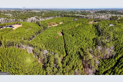 375 Bagley, Forsyth, GA 31029 - Photo 4